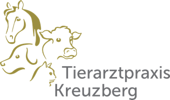 Tierarzt gams